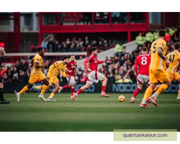 英超:诺丁汉森林与吉布斯-怀特续约,未来计划值得关注 英超:诺丁汉森林与吉布斯-怀特续约,未来计划值得关注